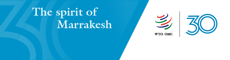 Thirteenth WTO Ministerial Conference