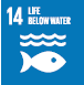 SDG14