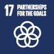 SDG17