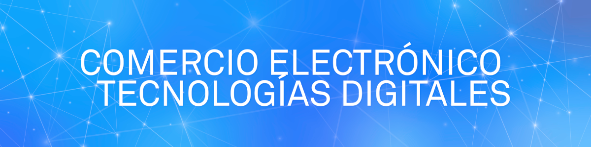 Electronic Commerce Work Programme