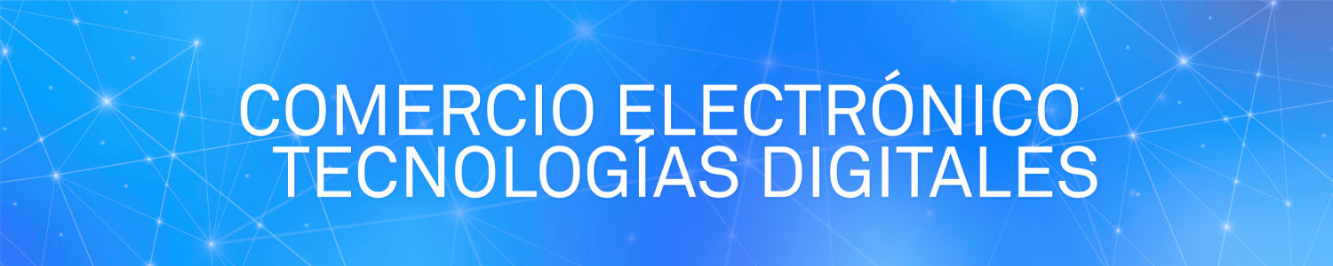 Electronic Commerce Work Programme