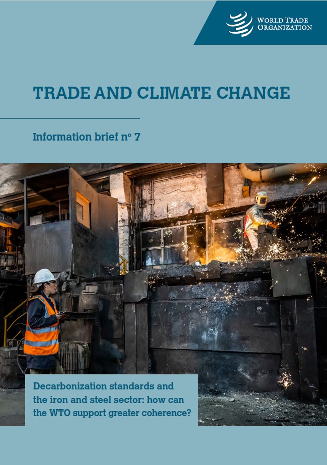 Steel Standards Principles
