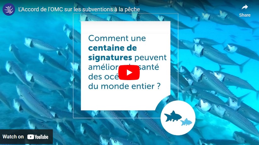 Fish image