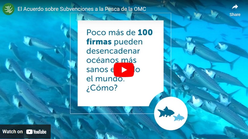 Fish image