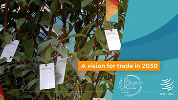 Vision Tree Video