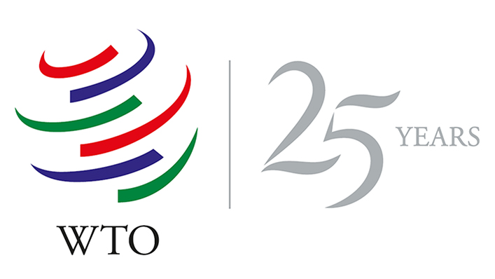 25th anniversary Logo