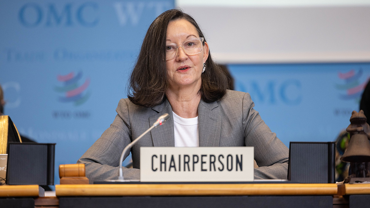 General Council chair outlines next steps to build on momentum from MC14 negotiations