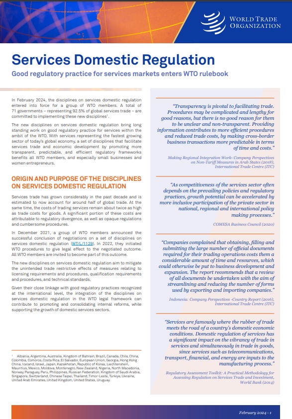 Factsheet on services domestic regulation
