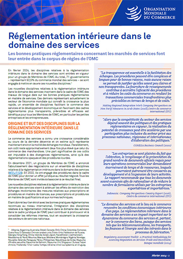 Factsheet on services domestic regulation