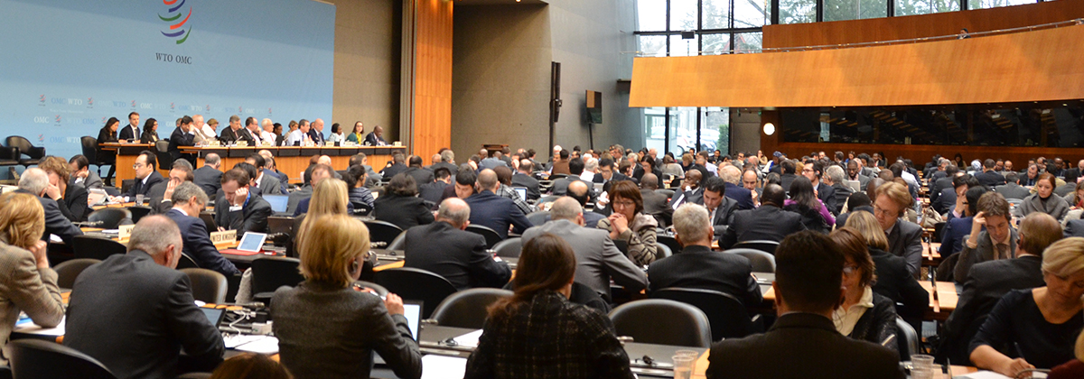 2017 WTO Chairs Programme Annual Conference held in Buenos Aires, Argentina