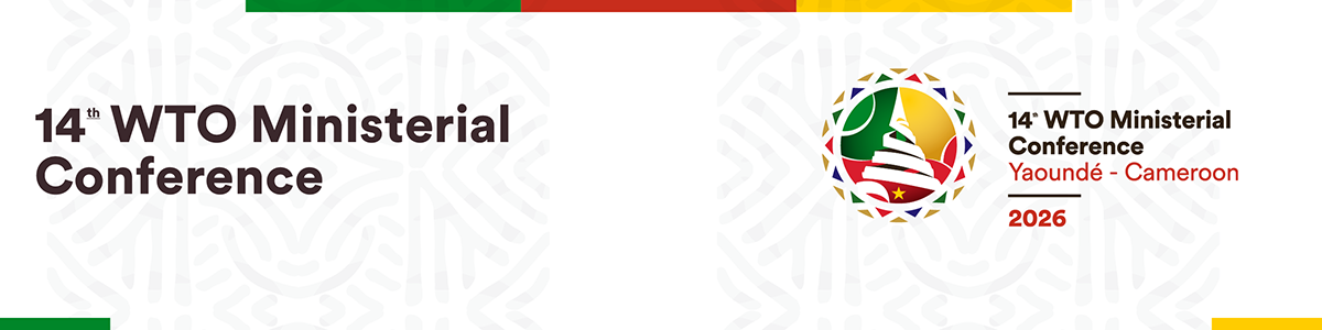 Thirteenth WTO Ministerial Conference