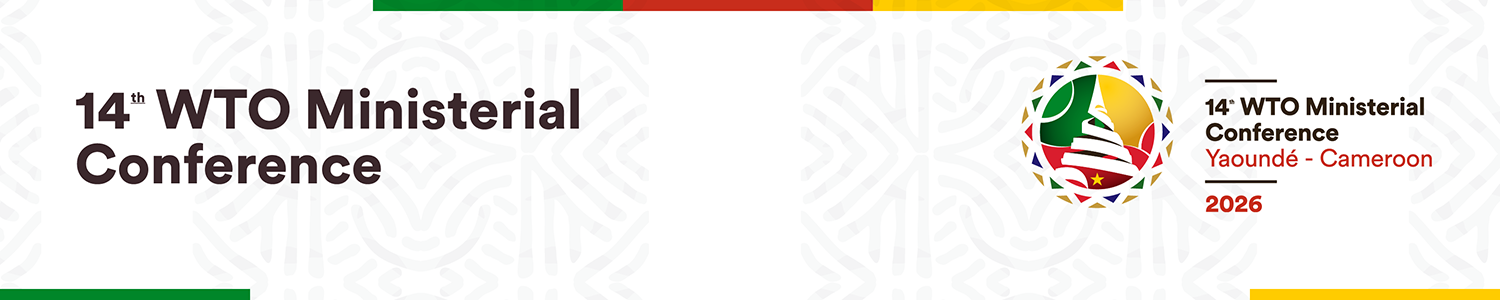 Thirteenth WTO Ministerial Conference