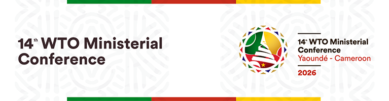 Thirteenth WTO Ministerial Conference